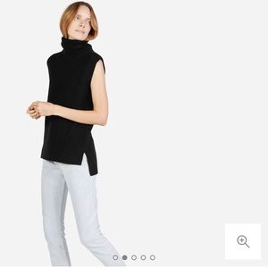 Everlane chunky wool sleeveless turtleneck